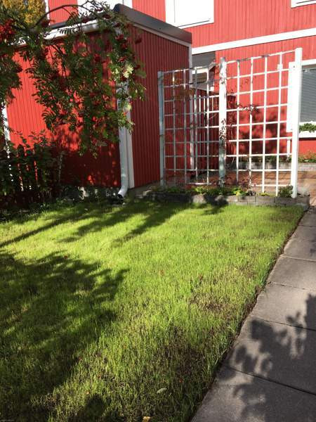 3h + s + k  Jyvaeskylae - photo 2