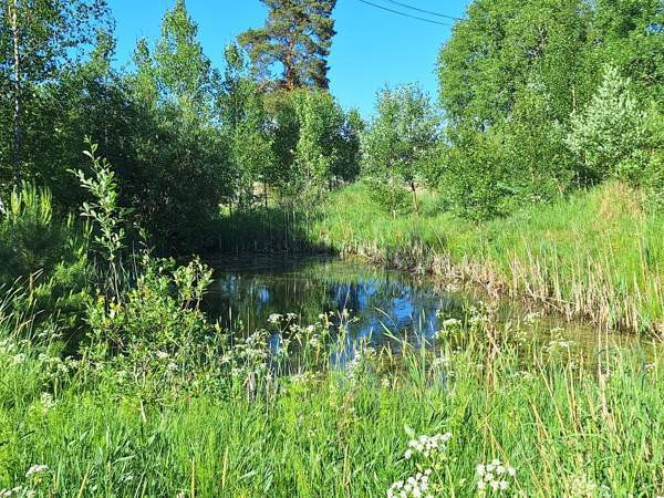 6h  Kemiönsaari - photo 6