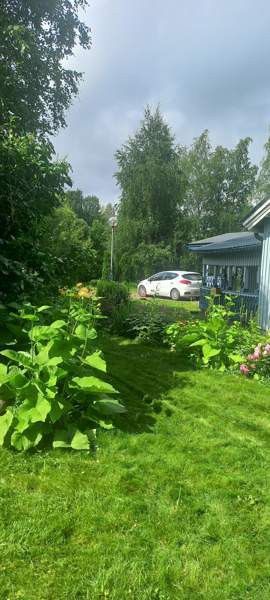 1h + k + s  Tohmajärvi - изображение 3