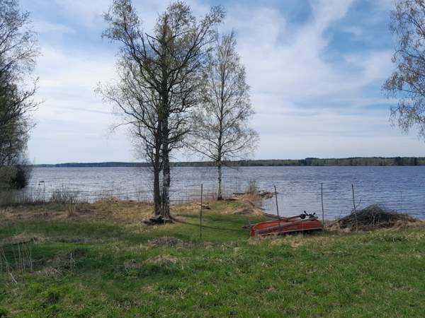 6h  Suonenjoki - valokuva 4