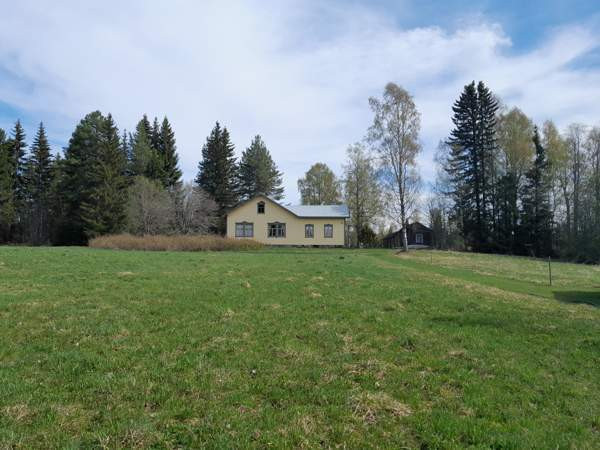 6h  Suonenjoki - valokuva 2