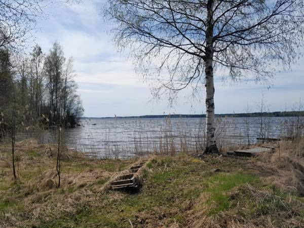 6h  Suonenjoki - valokuva 3