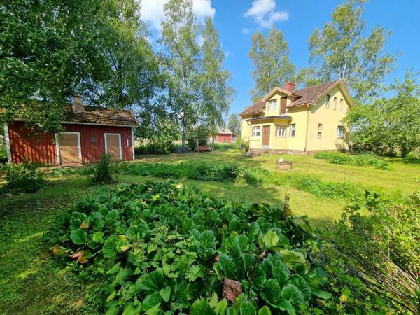 3h+k  Urjala - valokuva 1