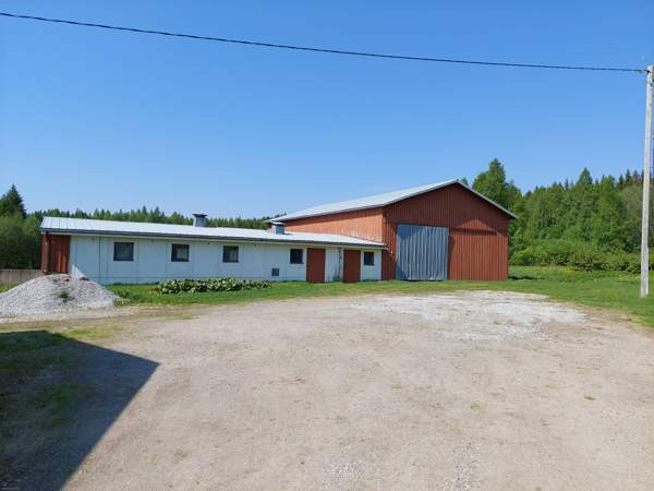 4h + avok + s  Nurmes - valokuva 3