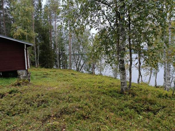 1h  Posio - valokuva 6