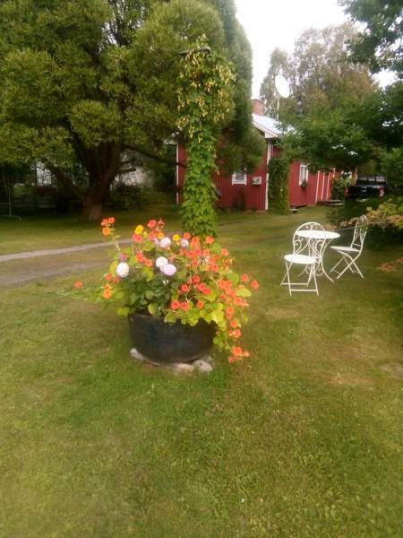 3h + k + s  Kemin - photo 4