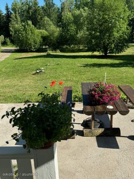 6h + s + p  Mäntsälä - valokuva 5