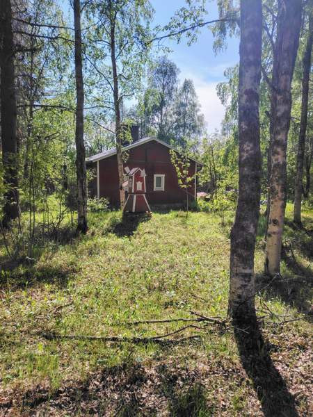 4h + k + s  Posio – foto 3