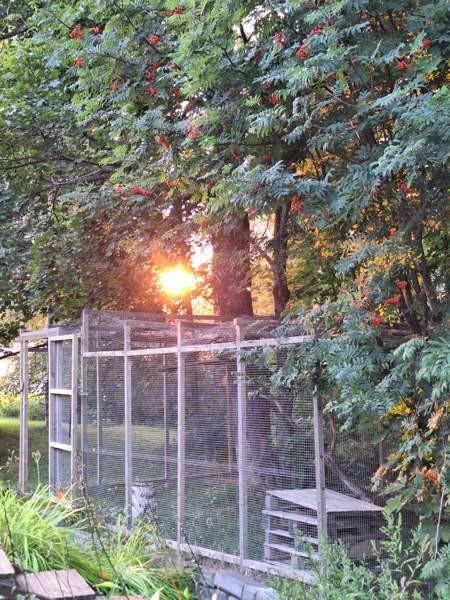 4h + k + s  Outokumpu - photo 7