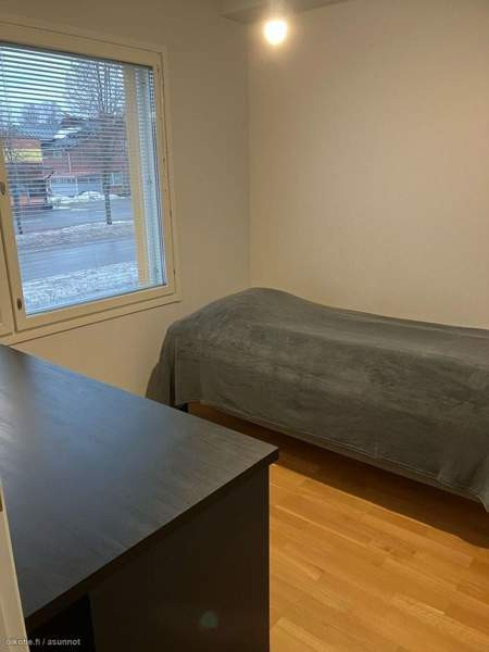 2h + avok + s + p  Joutsa - valokuva 4