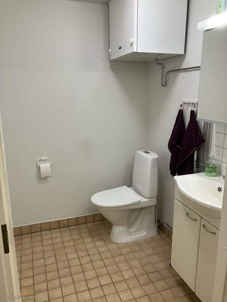 2h + avok + s + p  Joutsa - valokuva 7