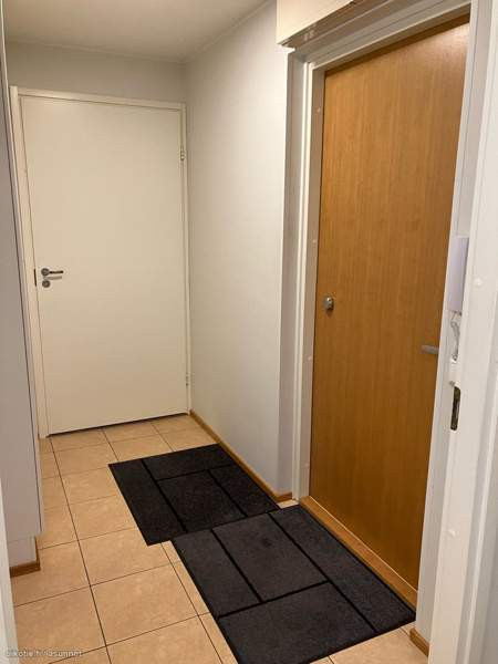 2h + avok + s + p  Joutsa - valokuva 6