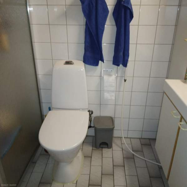 2h + avok + s+terassi  Joutsa - valokuva 6