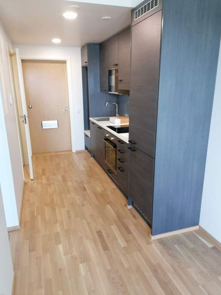 1h + avok + p  Jaervenpaeae - photo 5