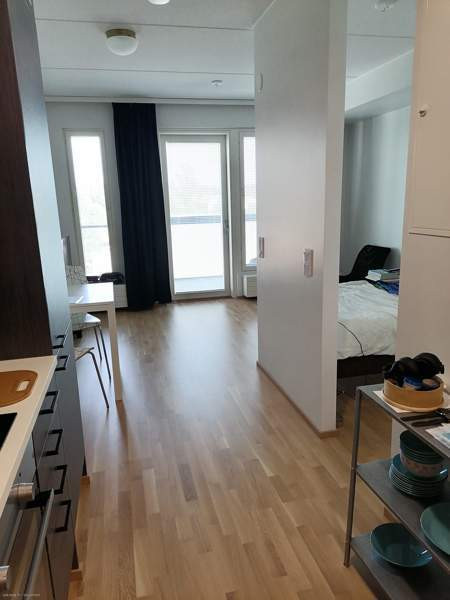 1h + avok + p  Jaervenpaeae - photo 6