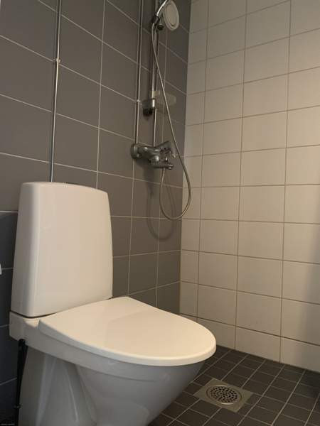 3-4 h + k + p  Zaporiz'ka Oblast' – foto 6