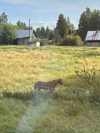 1h + kk + french parveke  Nurmijaervi