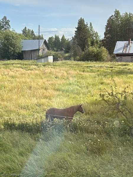 1h + kk + french parveke  Nurmijärvi - valokuva 3