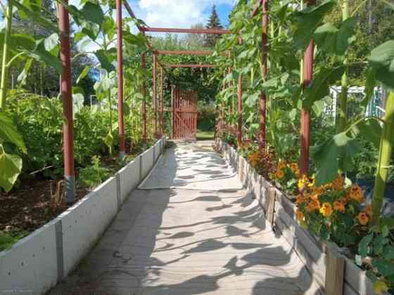 2h ja keittiö ja yläkerta  Saarijärvi