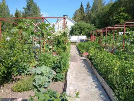 2h ja keittiö ja yläkerta  Saarijärvi