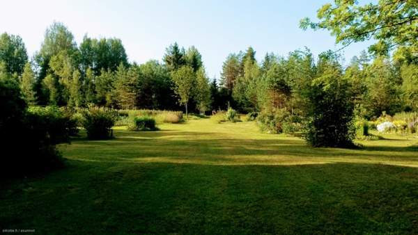 2h ja keittiö ja yläkerta  Saarijärvi - изображение 8