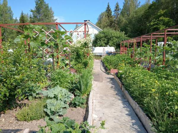 2h ja keittiö ja yläkerta  Saarijärvi - изображение 5