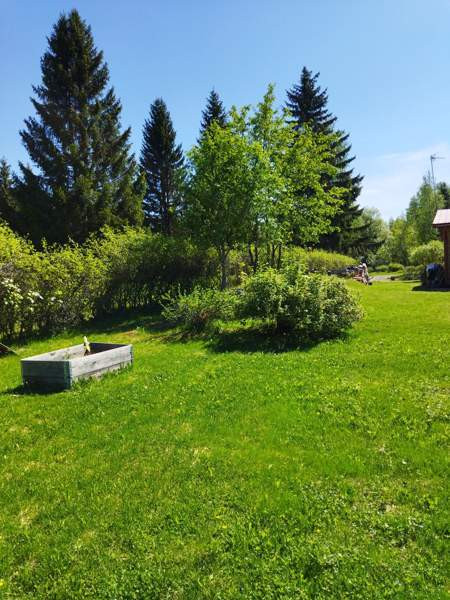 4h + k + s  Joensuu - valokuva 4