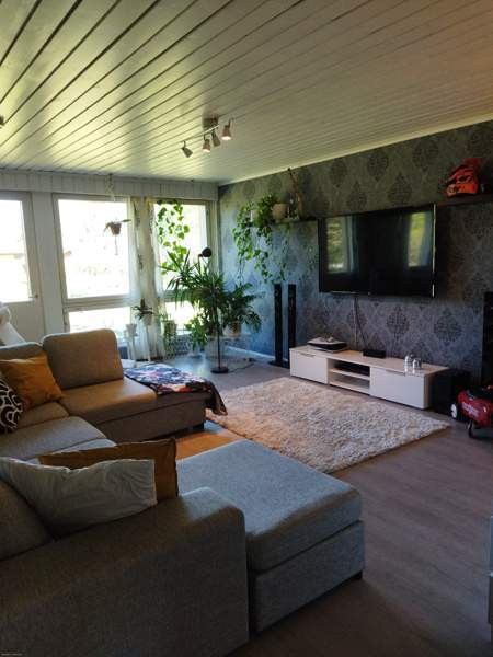 4h + k + s  Joensuu - valokuva 8