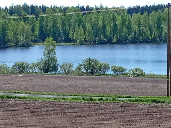 6h + s + p+kh+ke+vh+2wc+2at+4var.  Nilsiä – foto 4