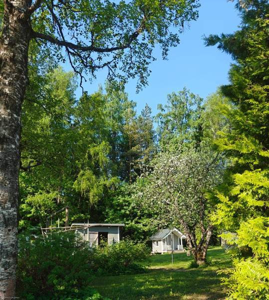 4h + k + s + p  Heinävesi - photo 7