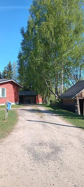 4h + k + s  Rautjärvi - photo 2