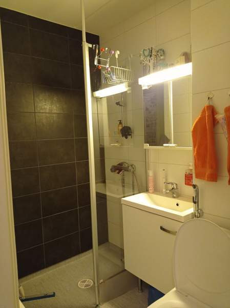 1h  Запорожская область - изображение 5