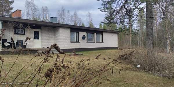 5h + k + s  Posio - valokuva 3