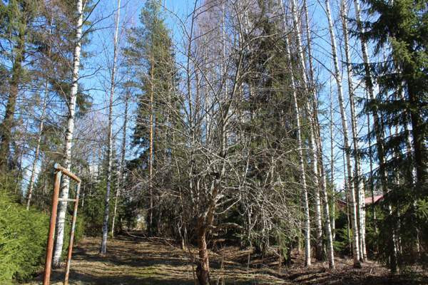 3h  Varkaus - photo 4