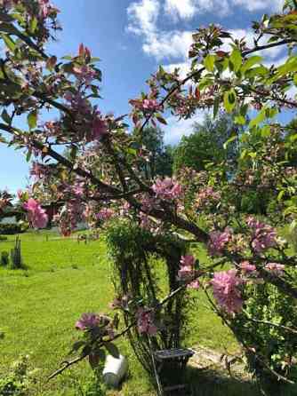 Siirtolapuutarhatontti 366 m2 lämpöeristetyllä 7m2  Sibbo