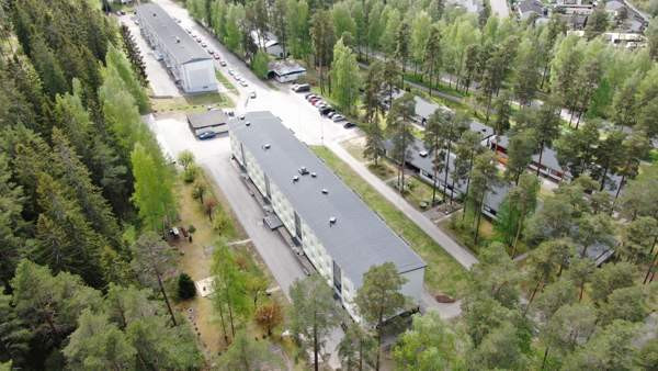 2h + p  Лохья - изображение 3