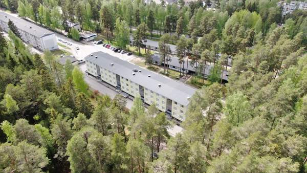 2h + p  Лохья - изображение 7