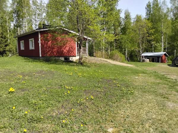 2h + avok  Luhanka - valokuva 2