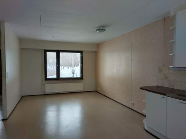 2h + s  Reisjärvi - изображение 3