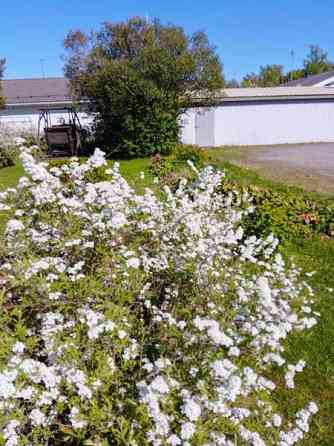 6h + k + s + p  Mynämäki