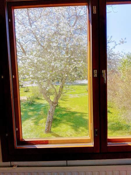 6h + k + s + p  Mynämäki – foto 8