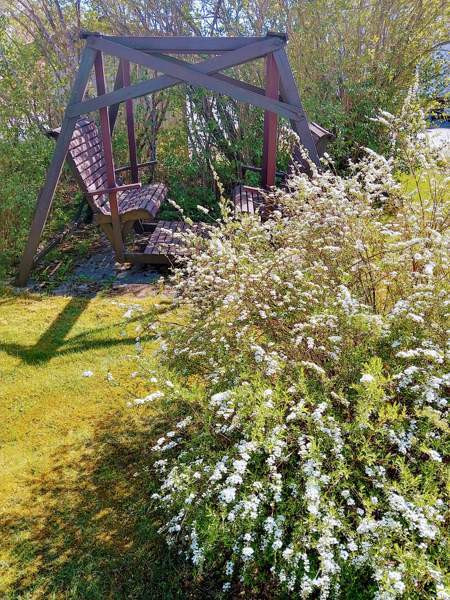 6h + k + s + p  Mynämäki – foto 7