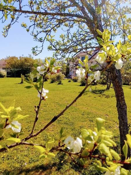 6h + k + s + p  Mynämäki – foto 4