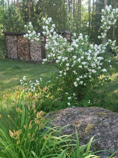 5h + k + khh+ s  Hamina – foto 8