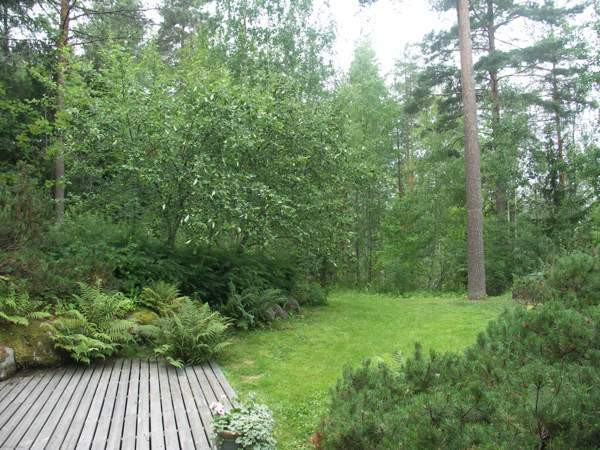 6h + avok + s + tkh + khh + p  Hyvinkää - valokuva 8