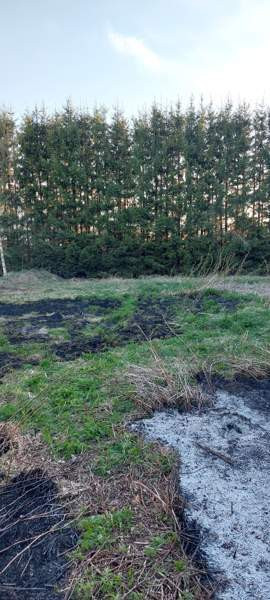 4h  Kalajoki - valokuva 5