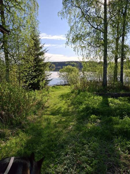 5h + k + s  Mänttä-Vilppula - valokuva 3