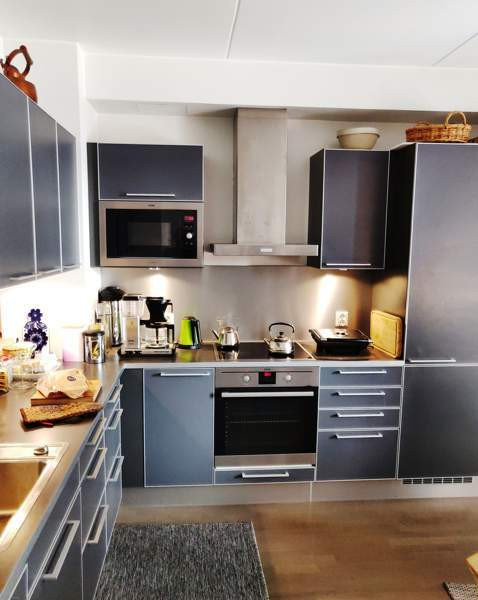 3h + k + s + p  Helsinki - photo 7