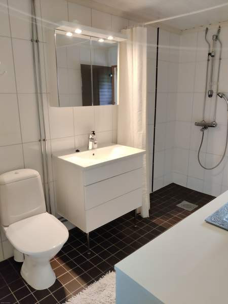 3h + k + s  Zaporiz'ka Oblast' - photo 3