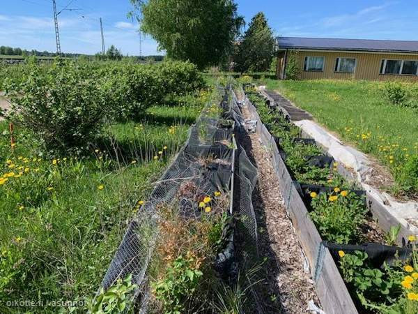 5h  Kauhava – foto 5